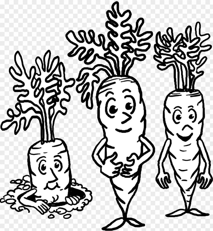 Carrot Black And White Clipart Clip Art /m/02csf Human Food Drawing PNG