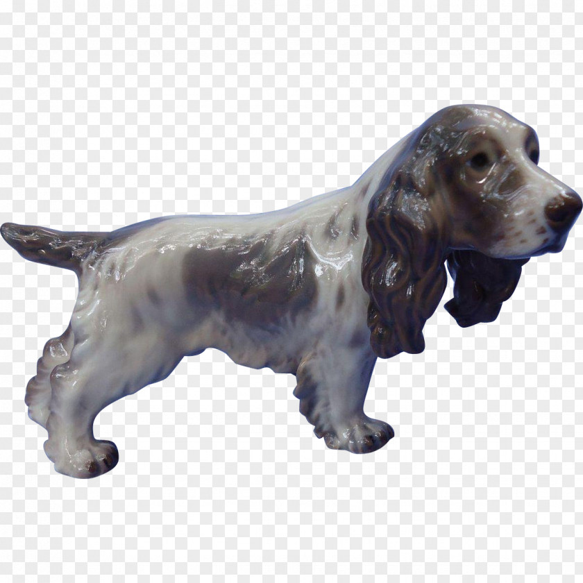 Field Spaniel English Cocker Sussex Russian Dog Breed PNG