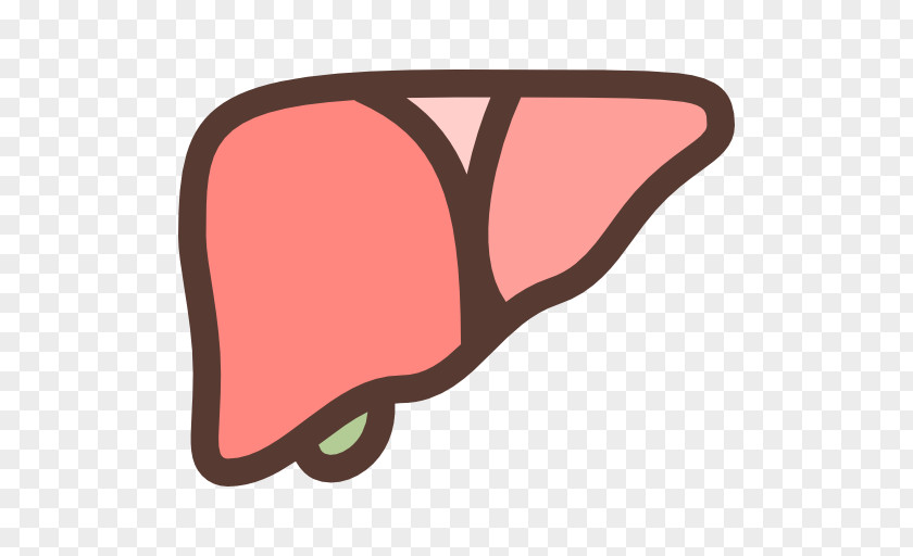 Liver Bilirubin PNG