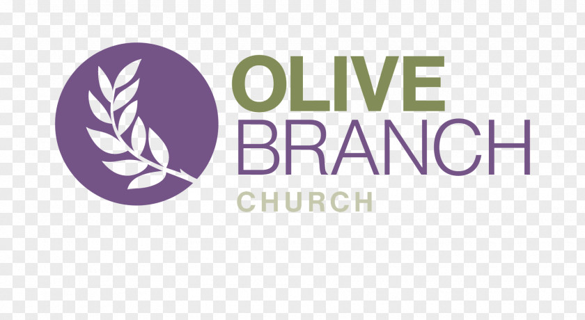 Olive Oil Branch Church Symbol Havenhill Drive PNG