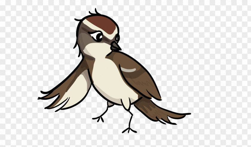 Sparrow Cliparts Bird Clip Art PNG