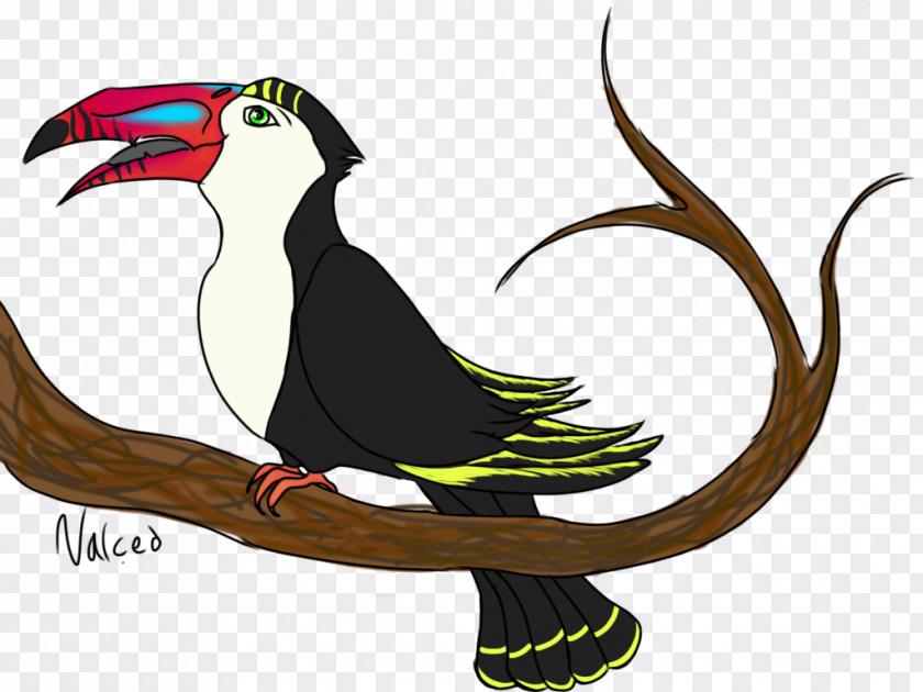 Toucan Bird Piciformes Beak PNG
