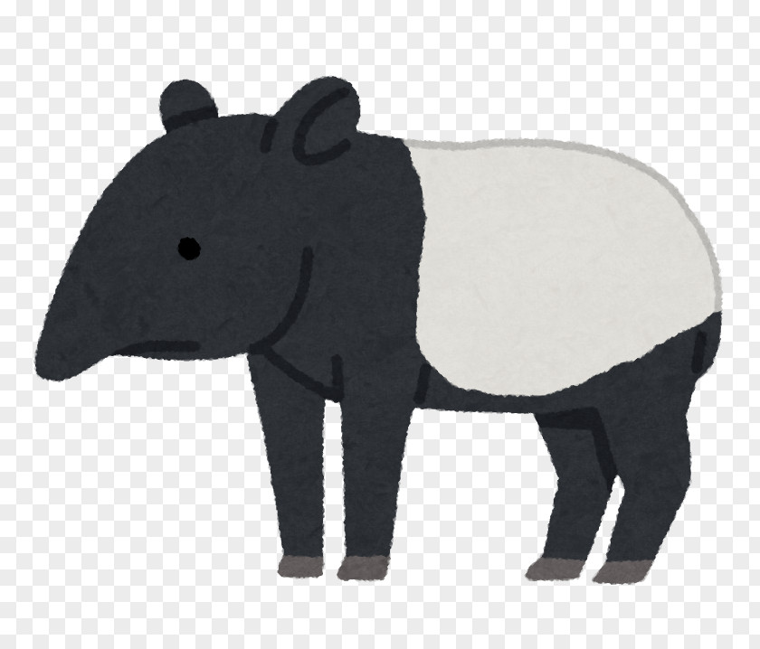 Baku Malayan Tapir South American Animal いらすとや Snout PNG