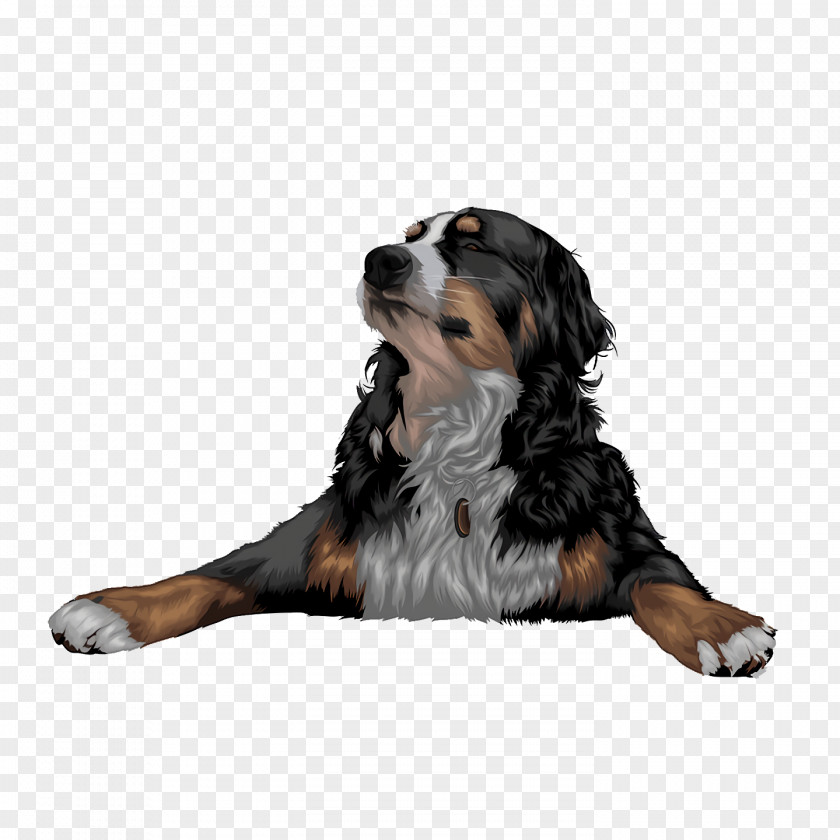 Bernese Mountain Dog Puppy Snout Companion Breed PNG