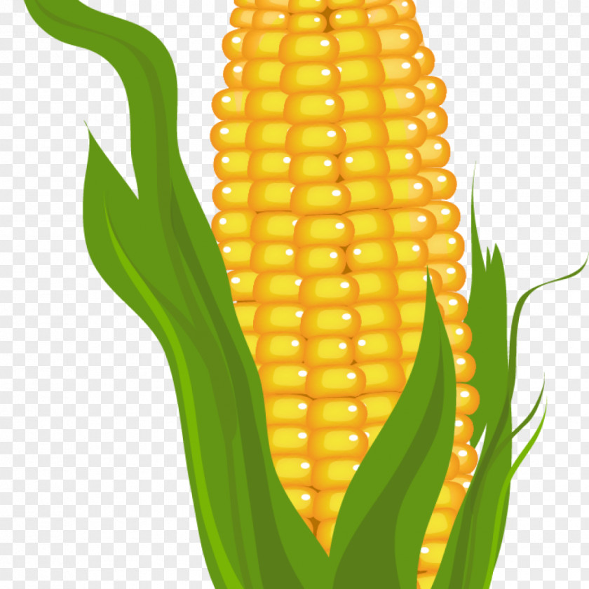 Corn Clip Art Openclipart On The Cob Free Content PNG