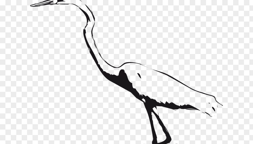 Crane Bird Green Heron Great Egret Blue PNG