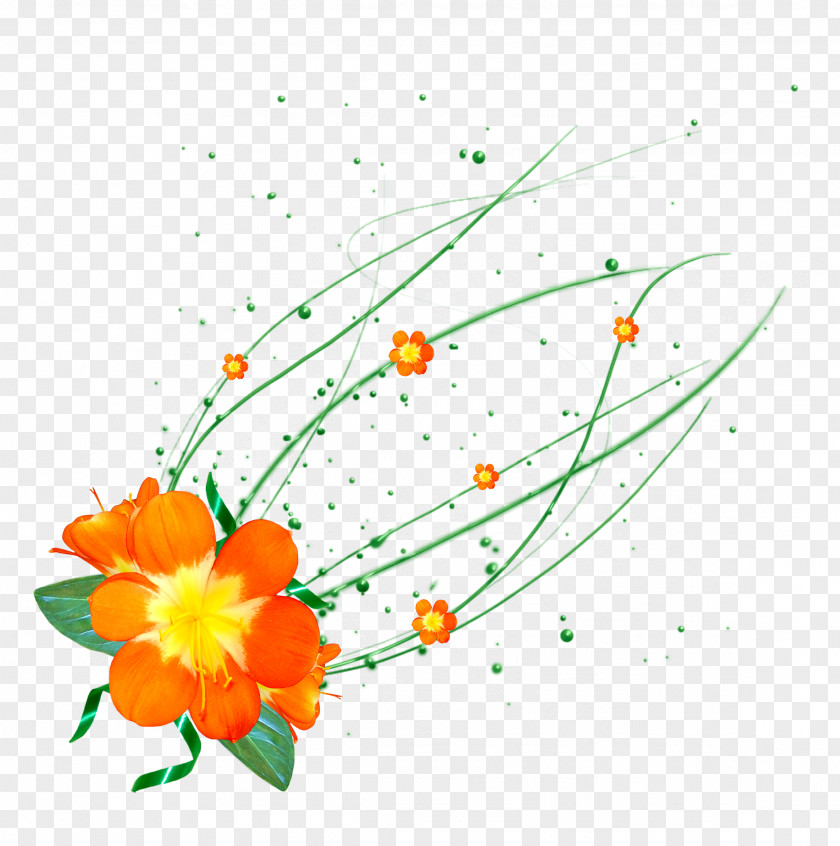 Creative Cartoon Bouquet Of Flowers Floral Design Flower PNG