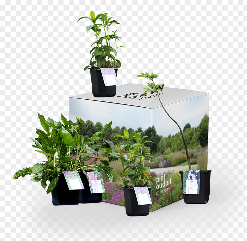 Creative Garden Flowerpot Houseplant Piet Oudolf Collection PNG