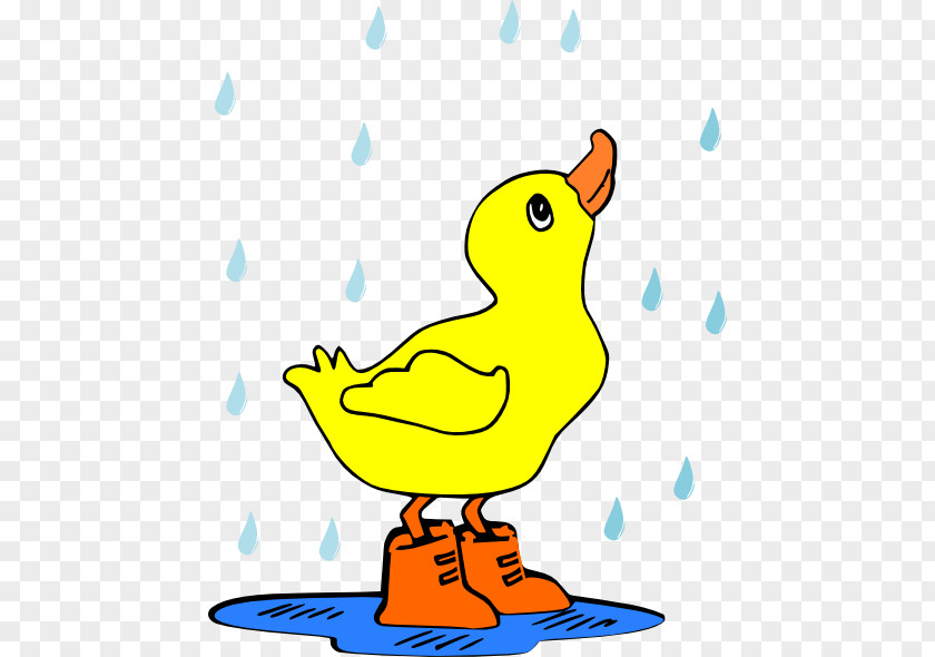 Duck Puddle Rain Clip Art PNG