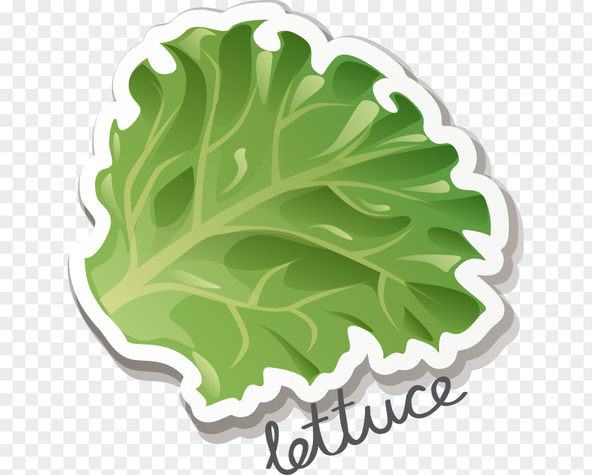 Fine Vegetables Lettuce Breakfast Egg Salad Fried Icon PNG