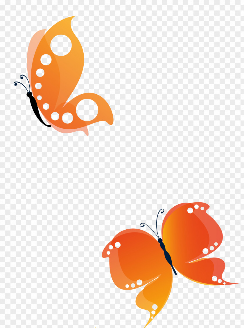 Ling Butterfly Euclidean Vector Image Insect Menelaus Blue Morpho PNG