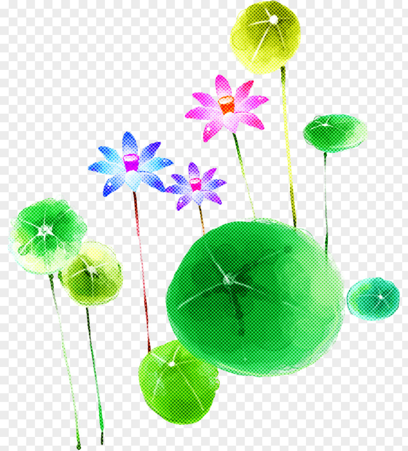 Plant Flower Stem PNG