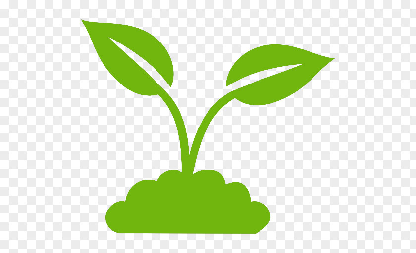 Plants Clip Art Company PNG