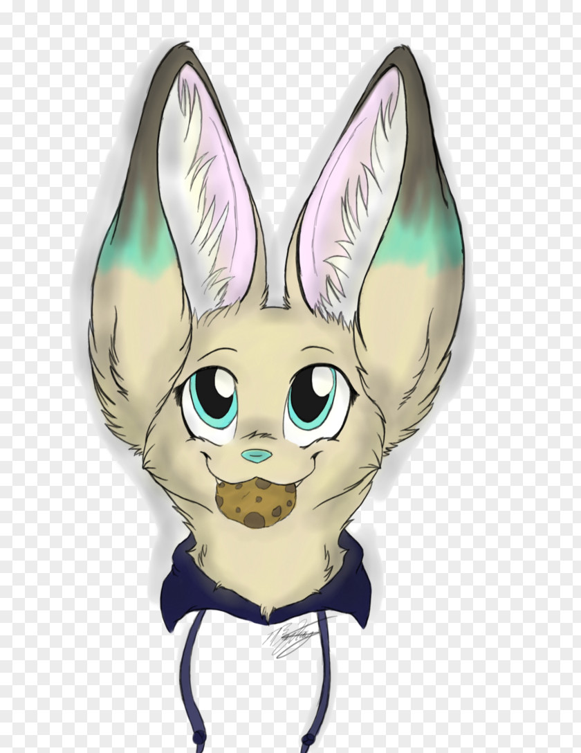 Rabbit Easter Bunny Hare Whiskers PNG