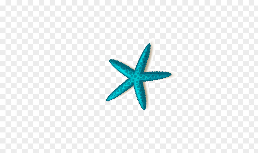 Starfish Chimelong Ocean Kingdom Zhuhai PNG