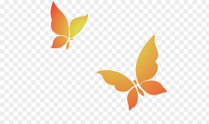 Butterfly Illustration PNG