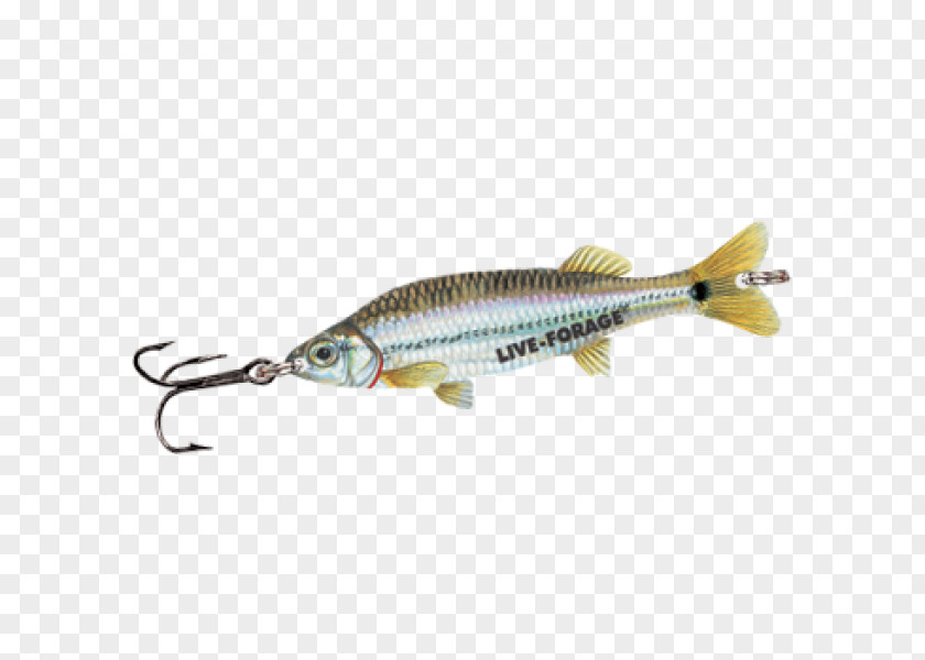 Spoon Lure Perch Fish PNG