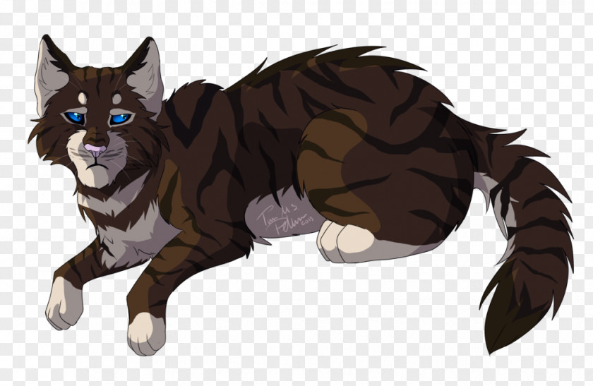 Cat Warriors Whiskers Hawkfrost Tigerstar PNG