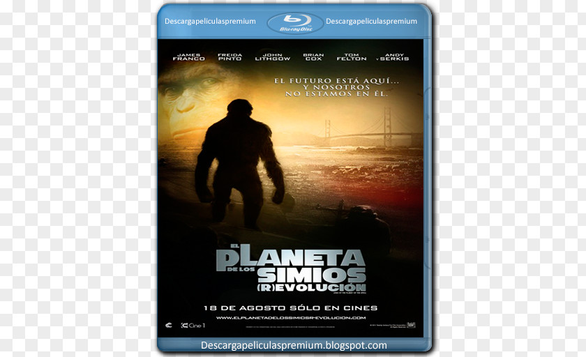 Dvd Poster Text Planet Of The Apes DVD Simian PNG