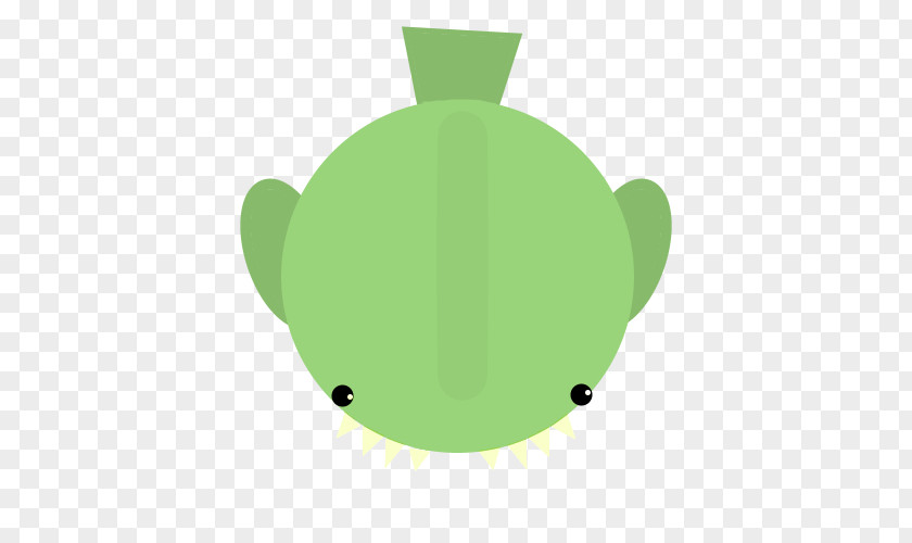 Leaf Turtle Amphibians Clip Art PNG