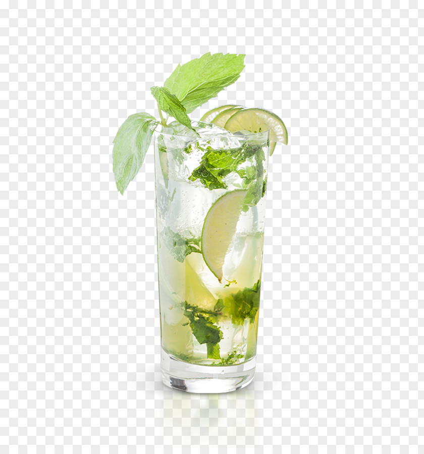 Mojito Lime Lemonade Sea Breeze Vodka Tonic PNG