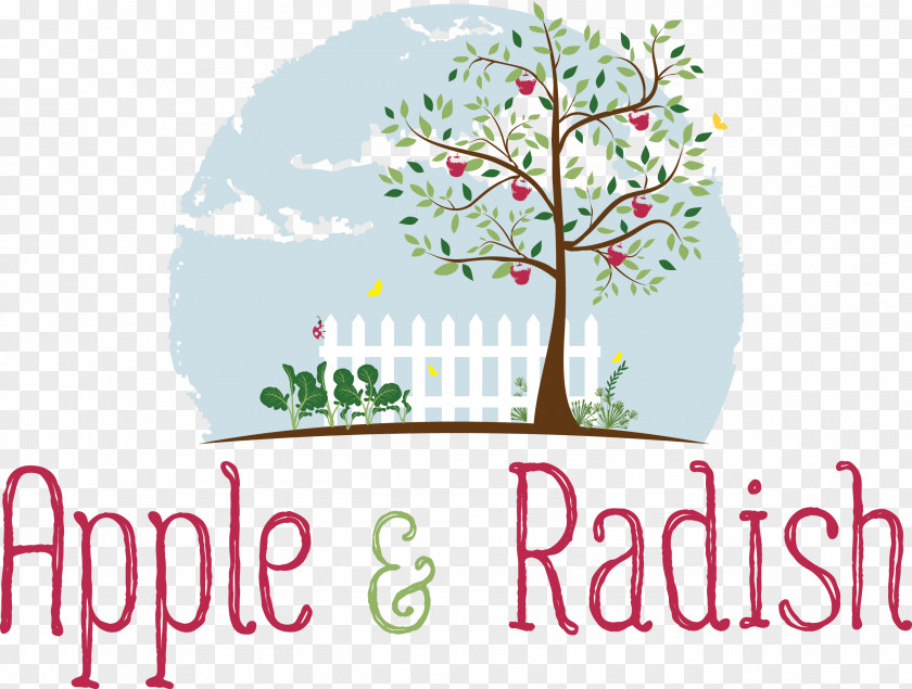 Radish North Coast National Notary Public Lismore & Far Apple Cake Brand PNG