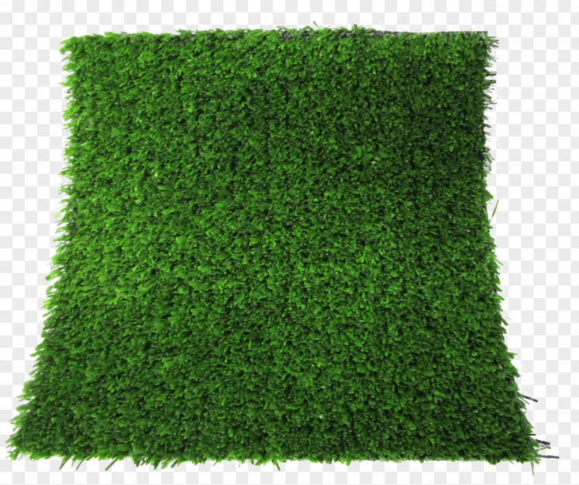 Artificial Grass Turf Lawn Thatch Carpet Green PNG