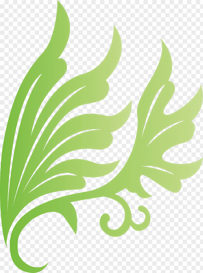 Flower Frame Floral Decoration PNG