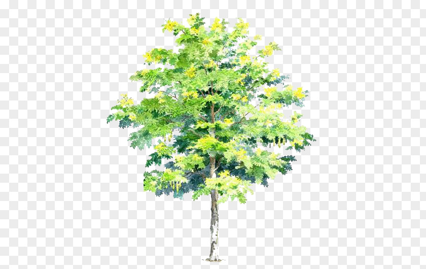 Hand-painted Trees S PNG trees s clipart PNG