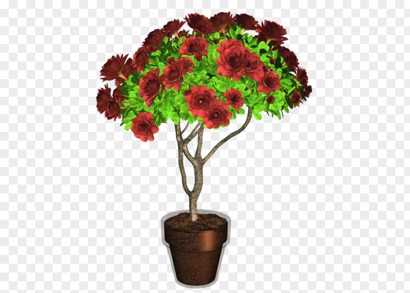 Plant Flowerpot Chrysanthemum PNG