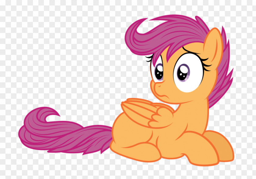 Pony Scootaloo Rainbow Dash Sweetie Belle PNG