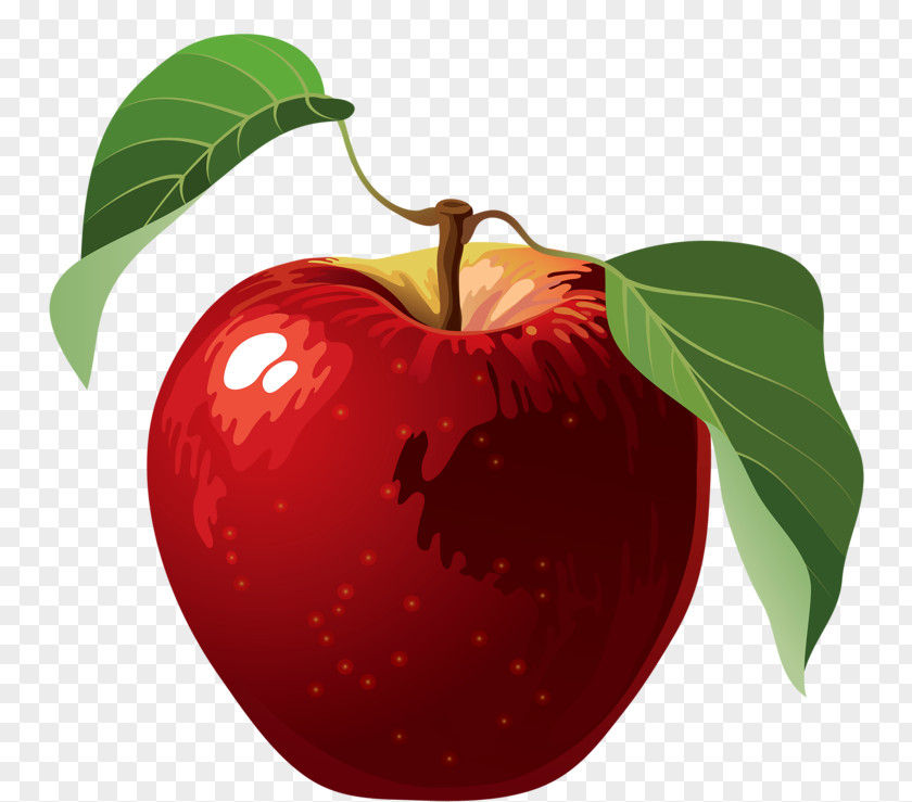 Red Apple Apples Clip Art PNG