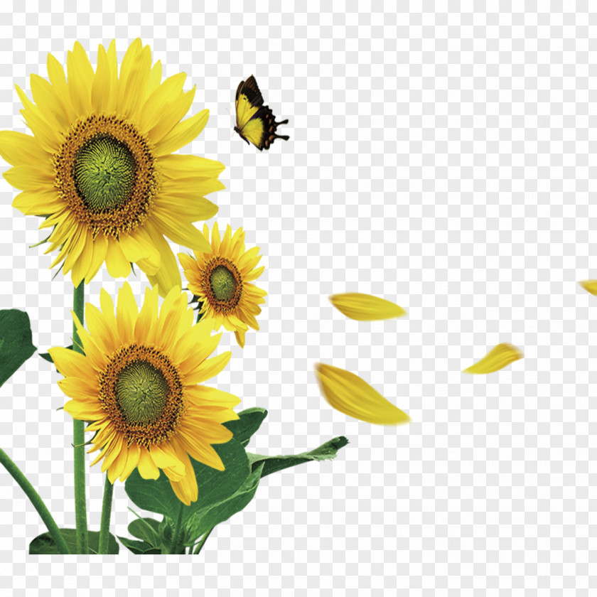Yellow Sunflower Butterfly Decorative Material Blackjack Payment Game PNG