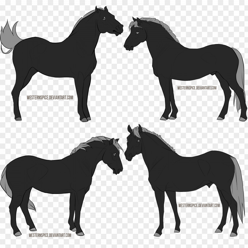 Mustang Arabian Horse Foal Pony Dog PNG