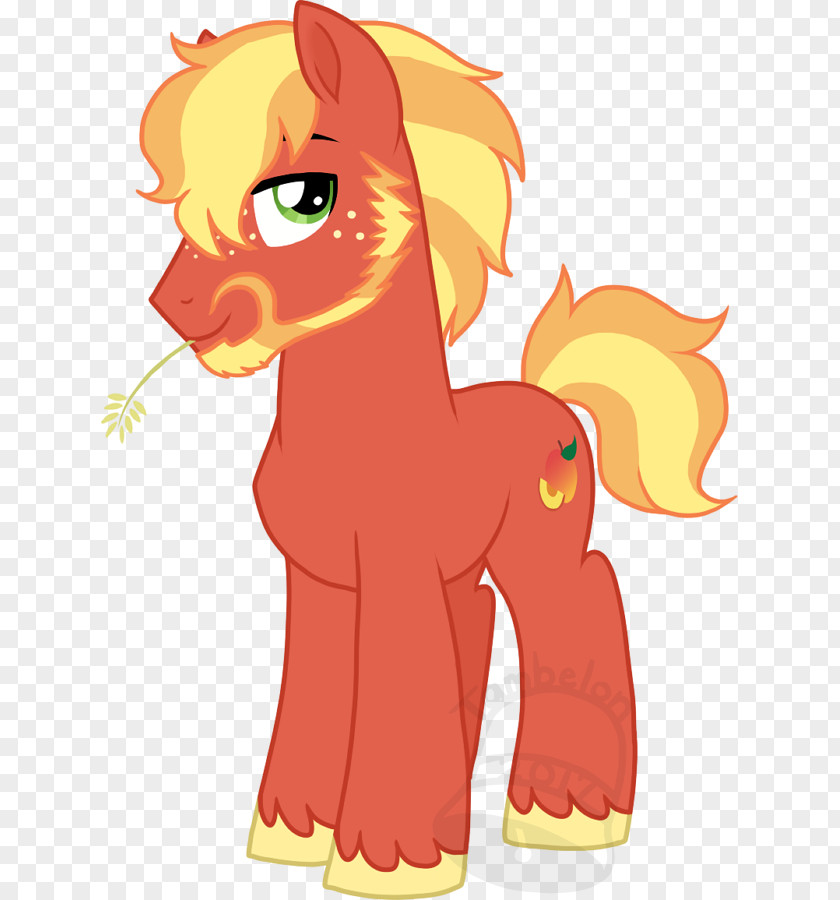 Peach Fuzz Horse Cat Canidae Dog PNG