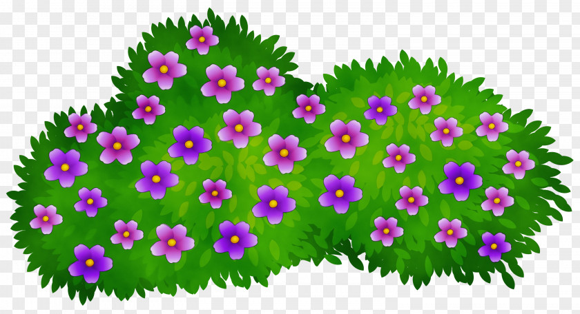 Perennial Plant Verbena Family Tree Background PNG