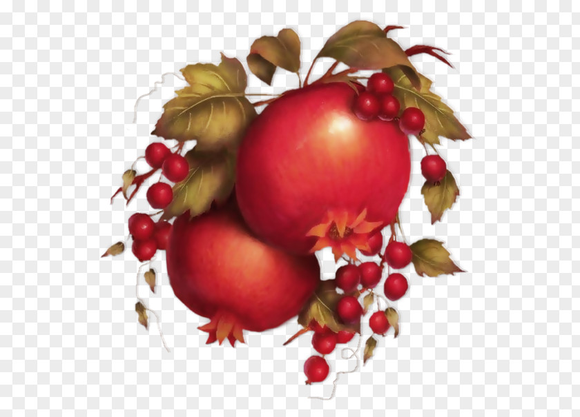Pomegranate Food Rose Hip Still Life Photography Cranberry PNG