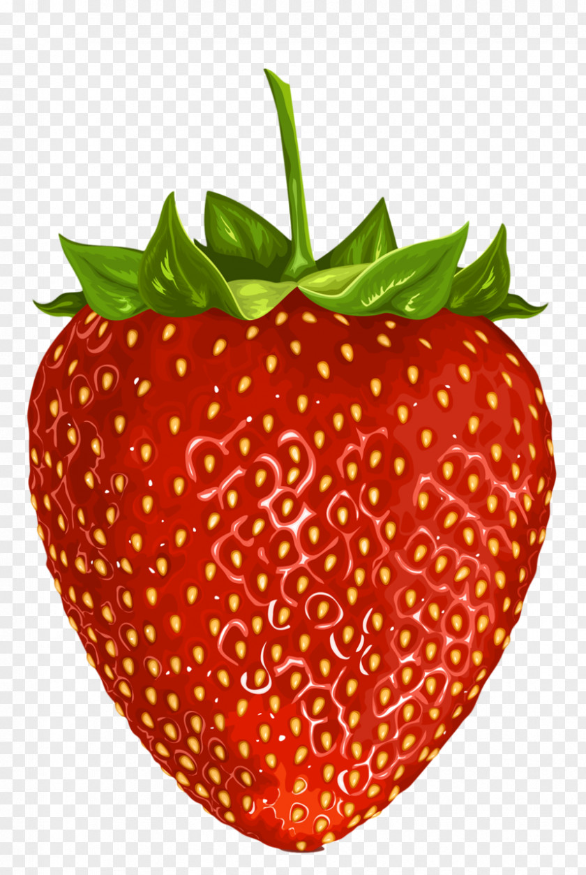 Watercolor Strawberry Fruit Drawing Clip Art PNG