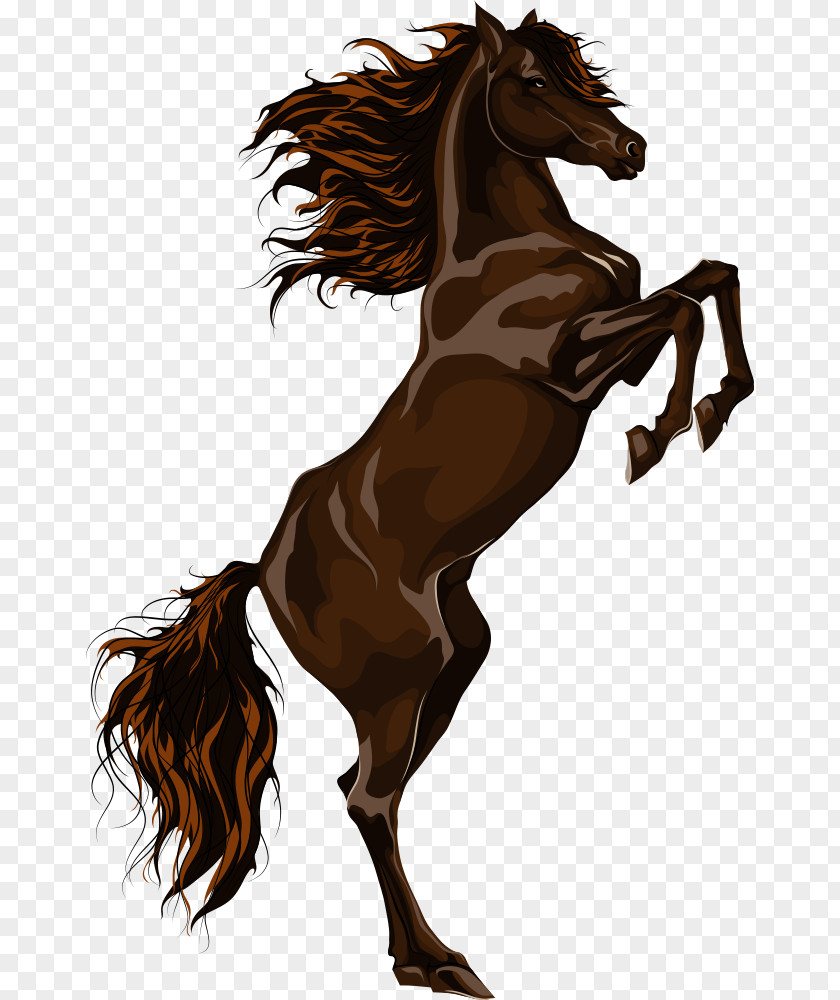 Cartoon Horse PNG