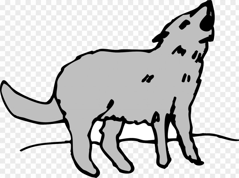 Coyote Gray Wolf Clip Art PNG