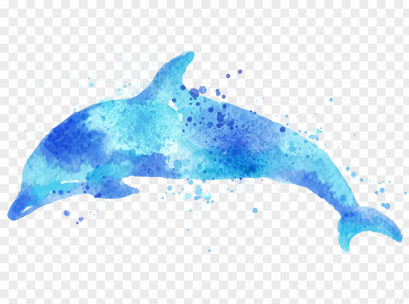 Drawing Dolphins Paper Dolphin Watercolor Painting PNG