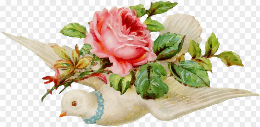 Petal Rose Family Artificial Flower PNG