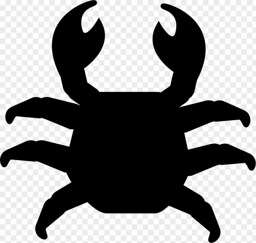 Crab Cake Vector Graphics Illustration PNG