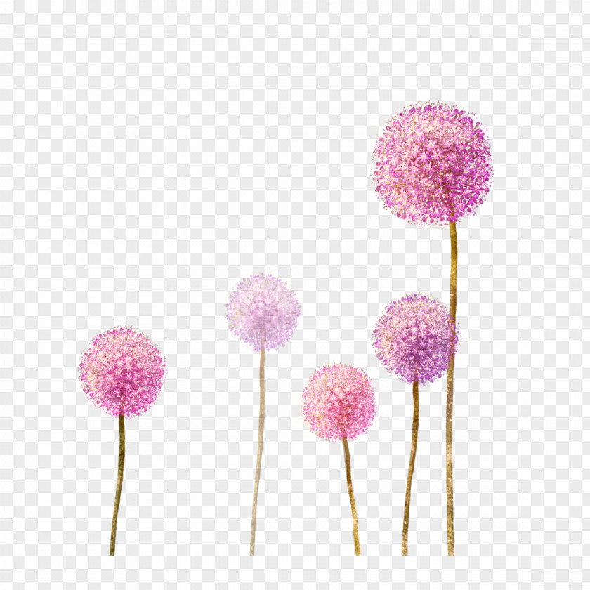 Dandelion Flower PicsArt Photo Studio Design IPhone Image PNG