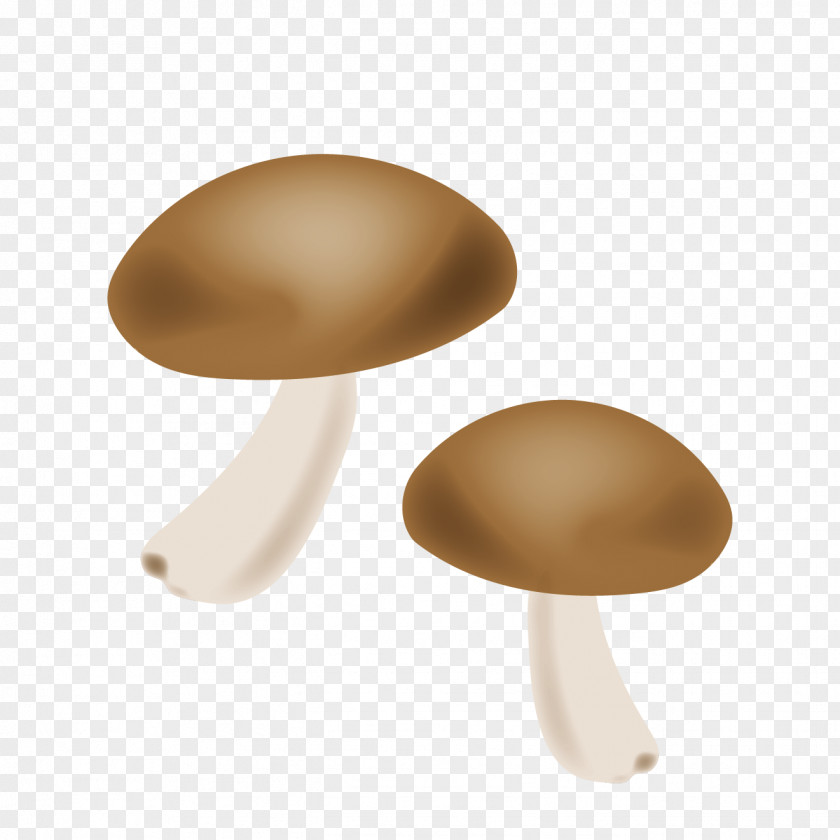 Design Agaricaceae PNG