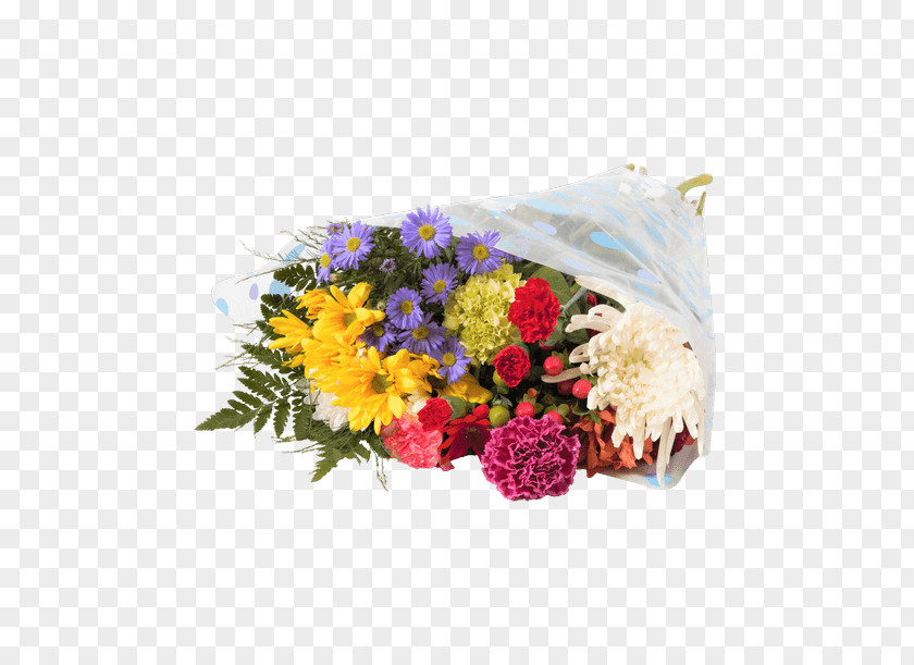 Flower Floral Design Cut Flowers Transvaal Daisy Bouquet PNG