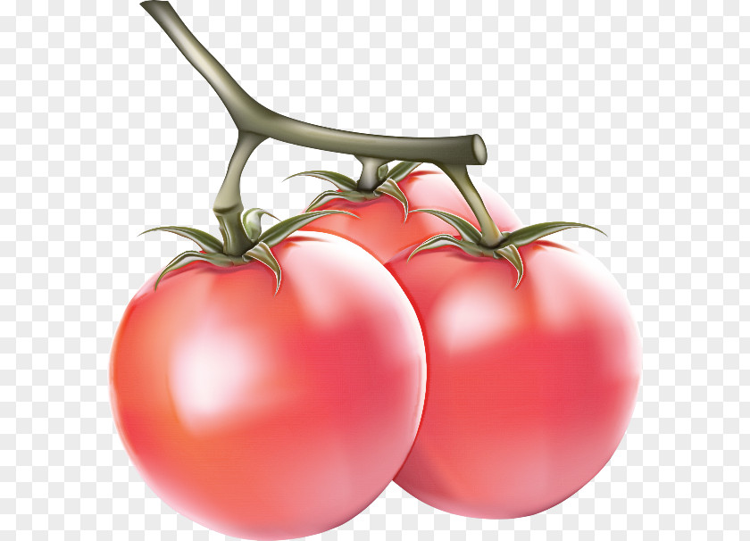 Food Local Tomato PNG
