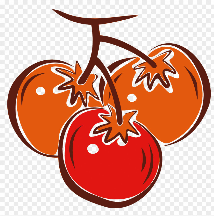 Vector Flattened Persimmon Vegetable Fruit Food PNG