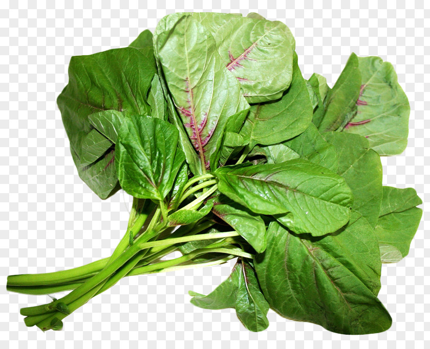 Amaranth Leaves Spinach Amaranthus Viridis Dubius Love-Lies-Bleeding Chard PNG