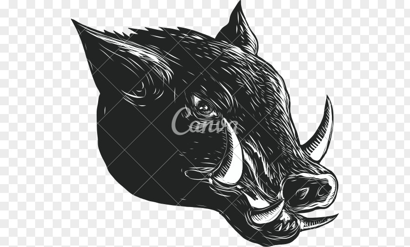 Boar Wild Woodcut Scratchboard PNG